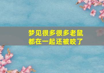 梦见很多很多老鼠都在一起还被咬了