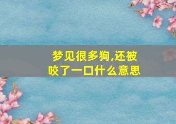 梦见很多狗,还被咬了一口什么意思