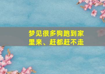 梦见很多狗跑到家里来、赶都赶不走