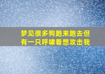 梦见很多狗跑来跑去但有一只呼啸着想攻击我