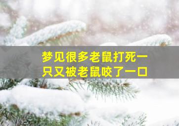 梦见很多老鼠打死一只又被老鼠咬了一口