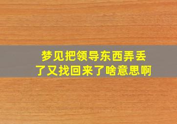 梦见把领导东西弄丢了又找回来了啥意思啊