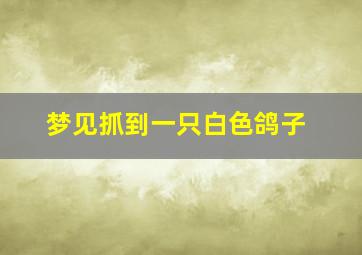 梦见抓到一只白色鸽子