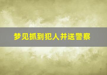 梦见抓到犯人并送警察