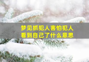 梦见抓犯人害怕犯人看到自己了什么意思