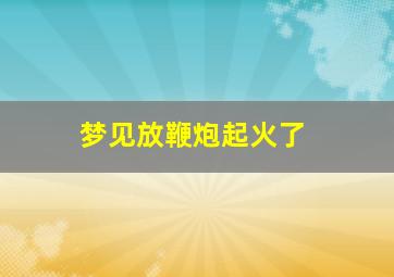 梦见放鞭炮起火了