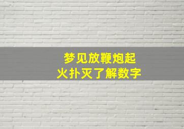 梦见放鞭炮起火扑灭了解数字