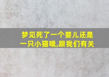 梦见死了一个婴儿还是一只小猫哦,跟我们有关