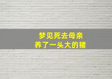 梦见死去母亲养了一头大的猪