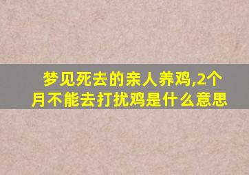 梦见死去的亲人养鸡,2个月不能去打扰鸡是什么意思