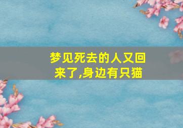 梦见死去的人又回来了,身边有只猫