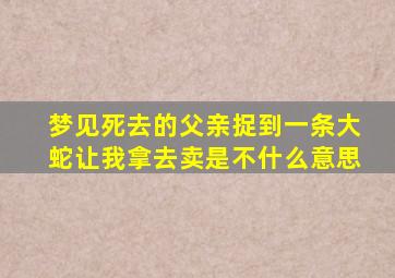 梦见死去的父亲捉到一条大蛇让我拿去卖是不什么意思