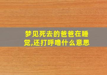 梦见死去的爸爸在睡觉,还打呼噜什么意思