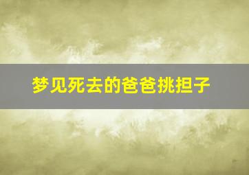 梦见死去的爸爸挑担子