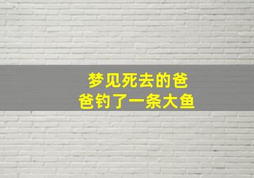 梦见死去的爸爸钓了一条大鱼