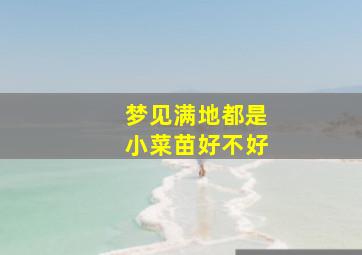 梦见满地都是小菜苗好不好