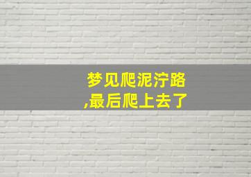 梦见爬泥泞路,最后爬上去了