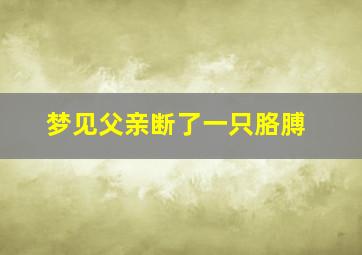 梦见父亲断了一只胳膊