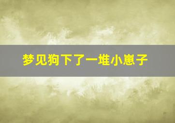 梦见狗下了一堆小崽子