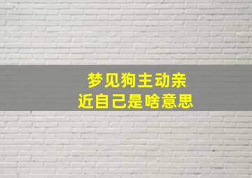 梦见狗主动亲近自己是啥意思