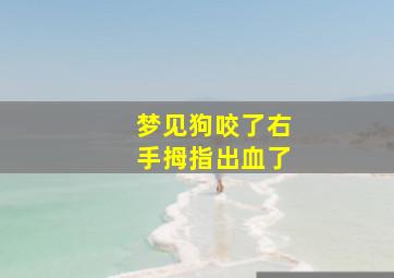 梦见狗咬了右手拇指出血了