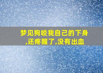 梦见狗咬我自己的下身,还疼醒了,没有出血