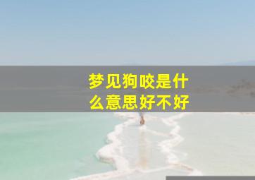 梦见狗咬是什么意思好不好