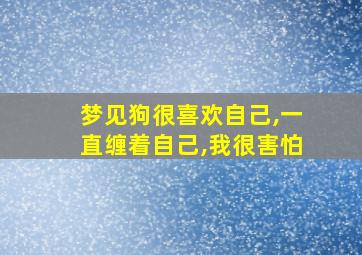 梦见狗很喜欢自己,一直缠着自己,我很害怕