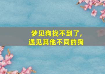 梦见狗找不到了,遇见其他不同的狗