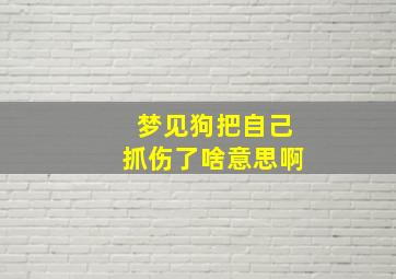 梦见狗把自己抓伤了啥意思啊