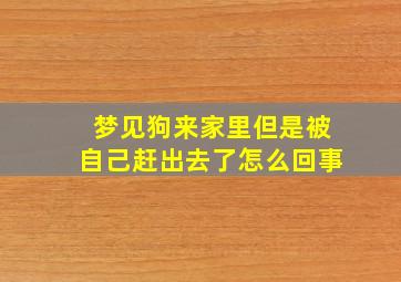 梦见狗来家里但是被自己赶出去了怎么回事