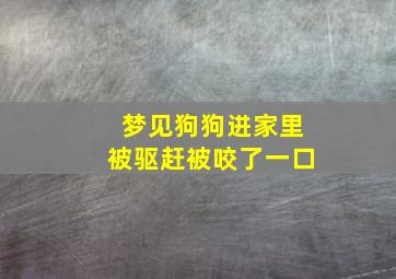 梦见狗狗进家里被驱赶被咬了一口