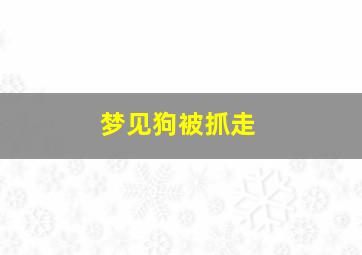 梦见狗被抓走