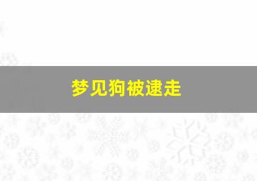 梦见狗被逮走