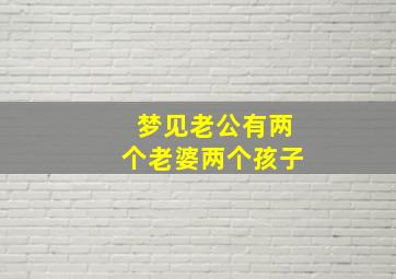 梦见老公有两个老婆两个孩子