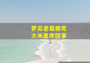 梦见老鼠偷吃大米是咋回事