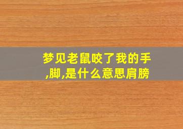 梦见老鼠咬了我的手,脚,是什么意思肩膀