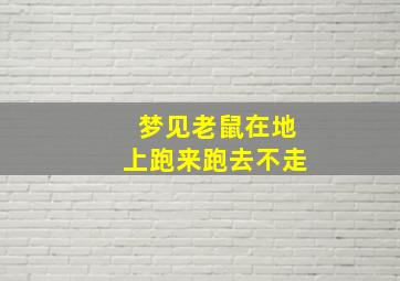 梦见老鼠在地上跑来跑去不走