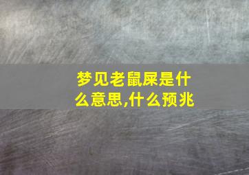 梦见老鼠屎是什么意思,什么预兆