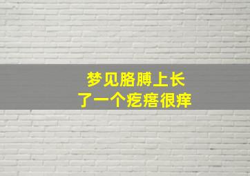 梦见胳膊上长了一个疙瘩很痒