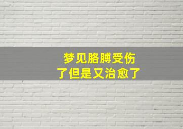 梦见胳膊受伤了但是又治愈了