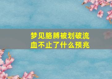 梦见胳膊被划破流血不止了什么预兆