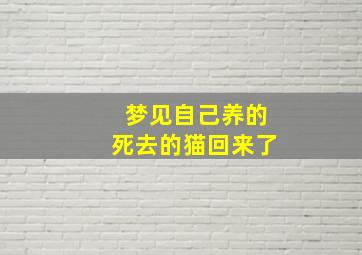 梦见自己养的死去的猫回来了