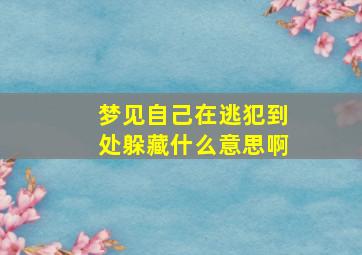 梦见自己在逃犯到处躲藏什么意思啊