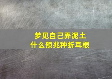 梦见自己弄泥土什么预兆种折耳根