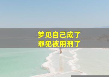 梦见自己成了罪犯被用刑了