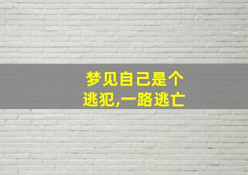 梦见自己是个逃犯,一路逃亡