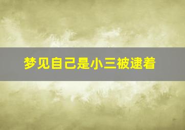 梦见自己是小三被逮着