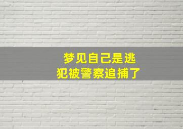 梦见自己是逃犯被警察追捕了