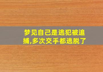 梦见自己是逃犯被追捕,多次交手都逃脱了